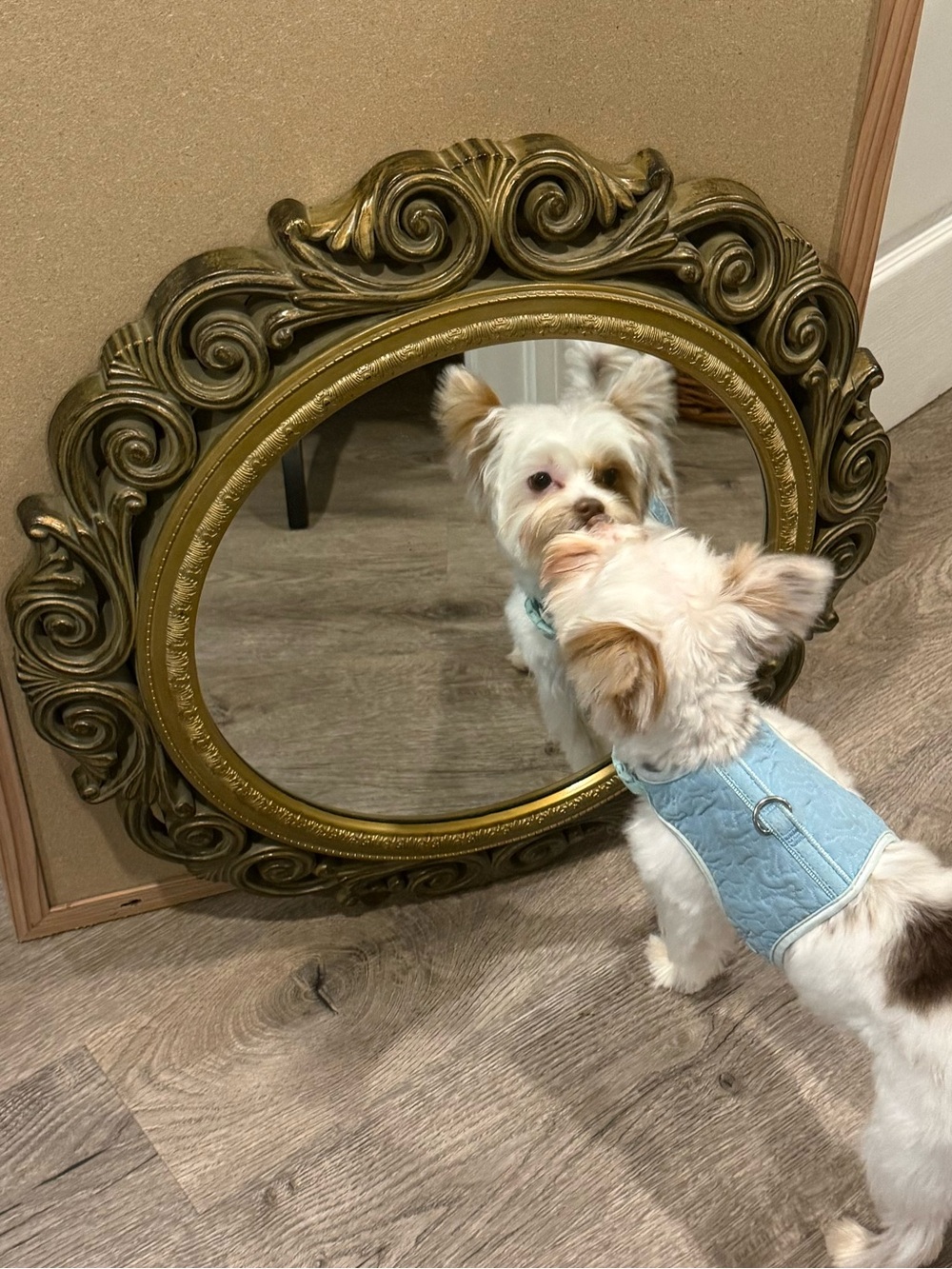 22 inch plastic framed mirror